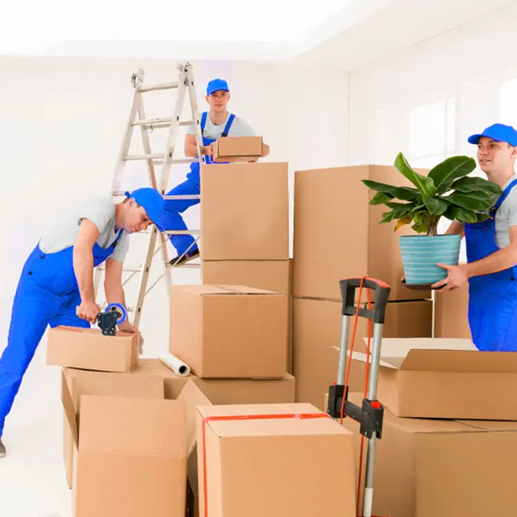 Why Choose GOTZ2Go as Your Calgary Apartment Movers?