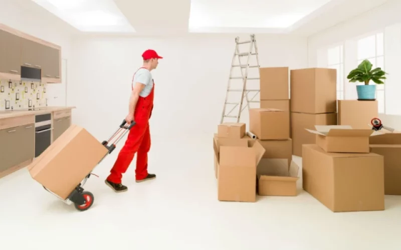 Why Hire Commercial Movers in Edmonton?