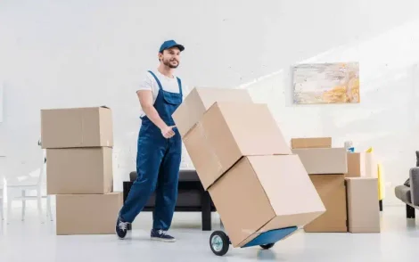 mover-in-uniform-transporting-cardboard-boxes-on-X